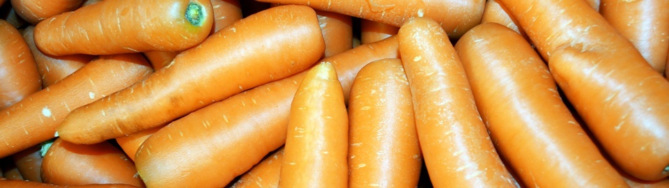 A big assortment of carrots.